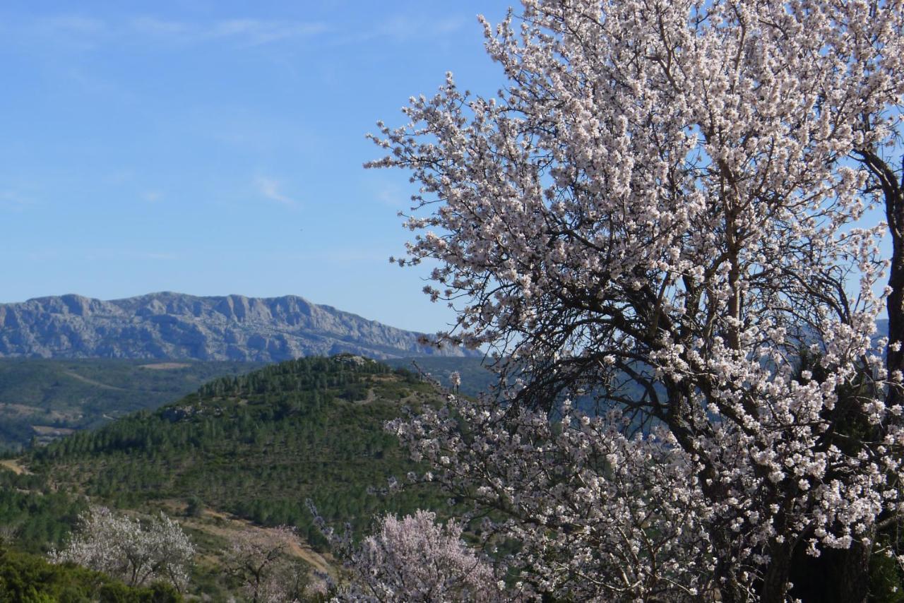 Chambres D'Hotes Gite Saint Roch Tuchan Dış mekan fotoğraf